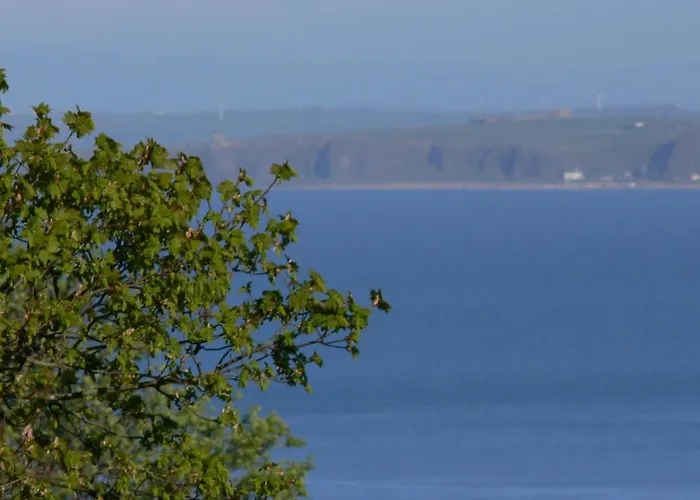 Rustic Log * グリーンキャッスル